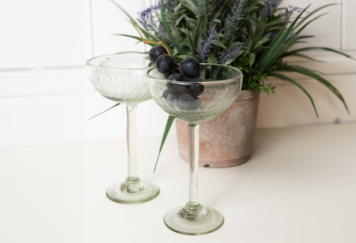 Two clear long-stemmed cocktail glasses with etched texture, one filled with berries, displayed next to potted herbs.