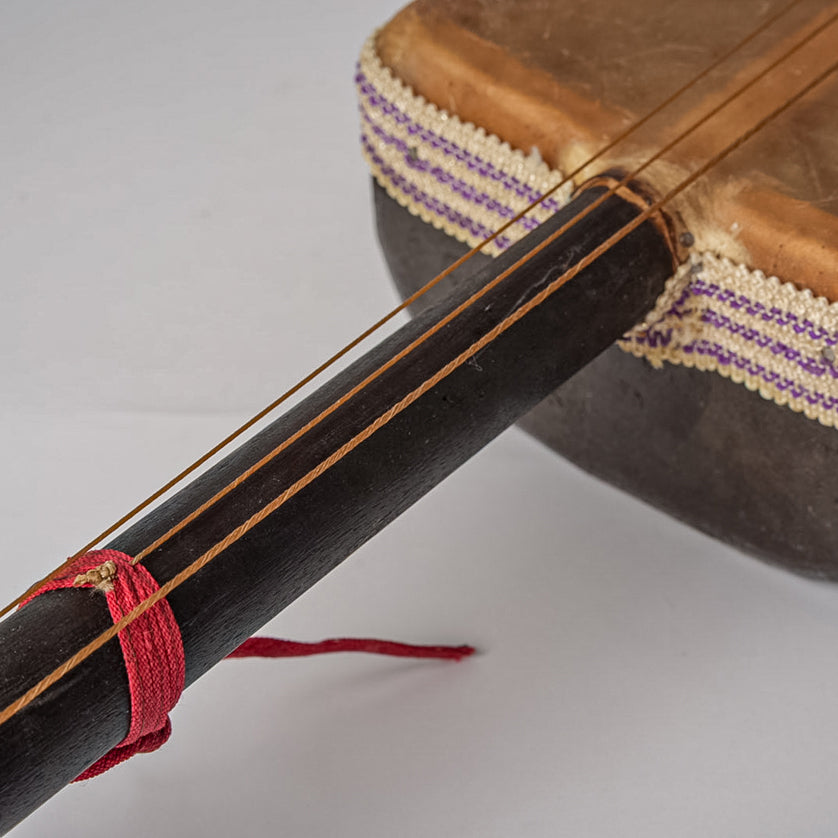 Moroccan gimbri with wooden neck, brown gourd body, purple and cream trim bands, and red fabric tie detail.