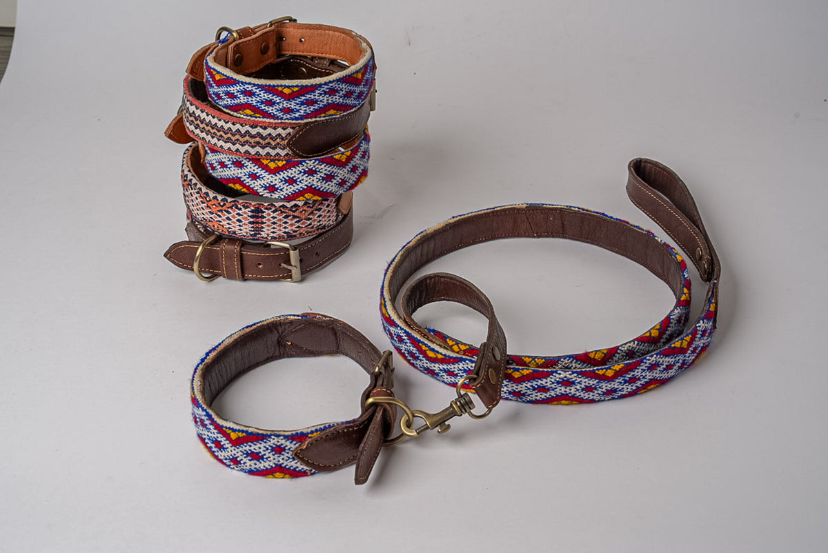 Brown leather dog collar and leash with woven geometric kilim pattern in red, blue, and cream, brass hardware.