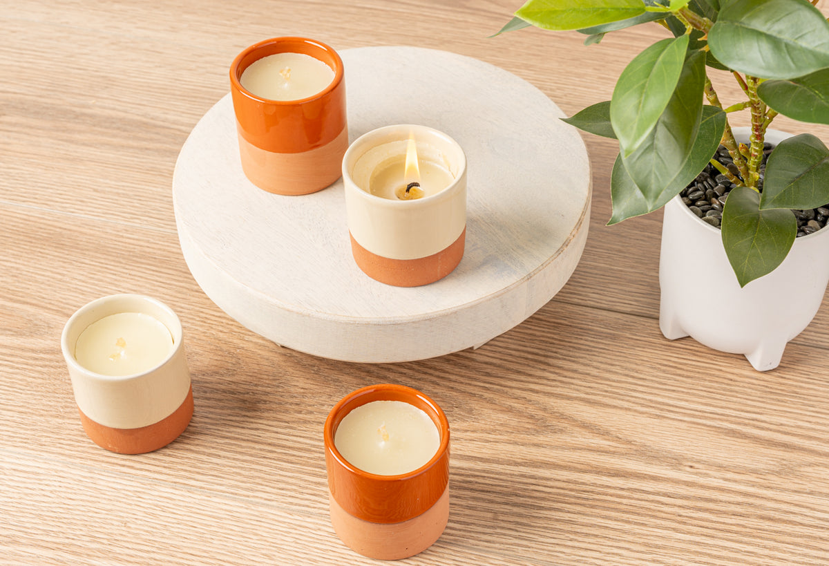 Terracotta and cream soy candles with lit flames displayed on a white wooden tray next to a potted plant.