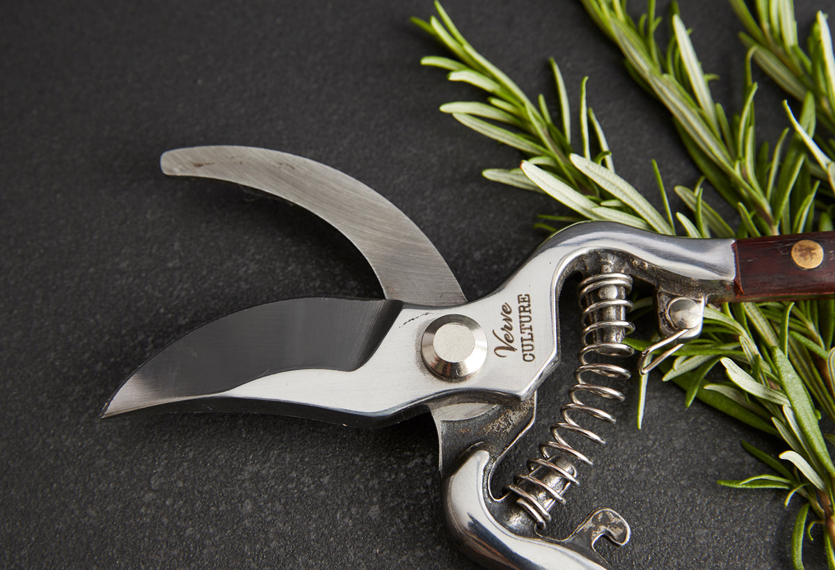 Stainless steel pruning shears with curved blades, wooden handle, and coiled spring mechanism on dark surface with fresh rose