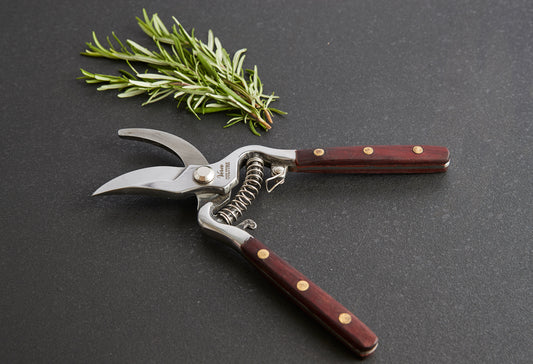 Curved pruning shears with dark wood handles and brass rivets next to a sprig of fresh rosemary on gray surface.