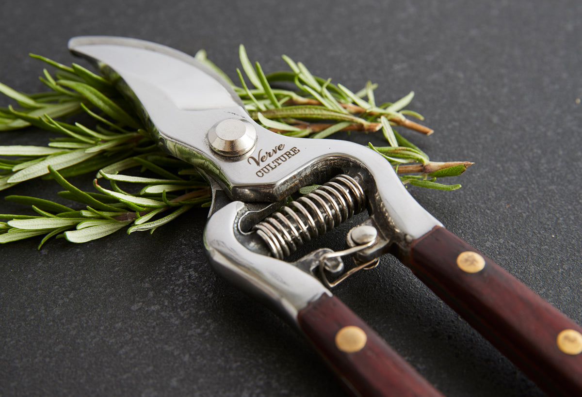 Stainless steel pruning shears with dark wood handles and spring mechanism, displayed with fresh rosemary sprigs.