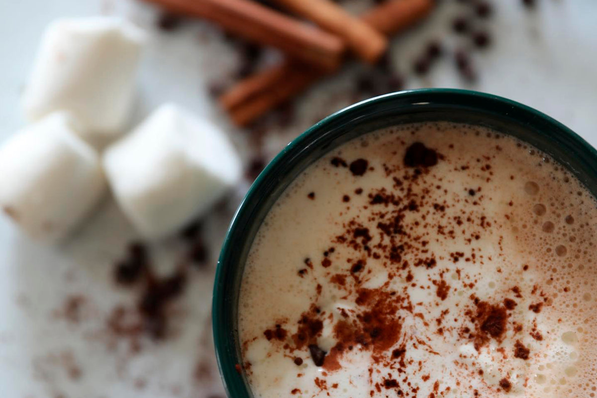 Cup of hot chocolate with cocoa powder dusted on top, surrounded by marshmallows and cinnamon sticks.